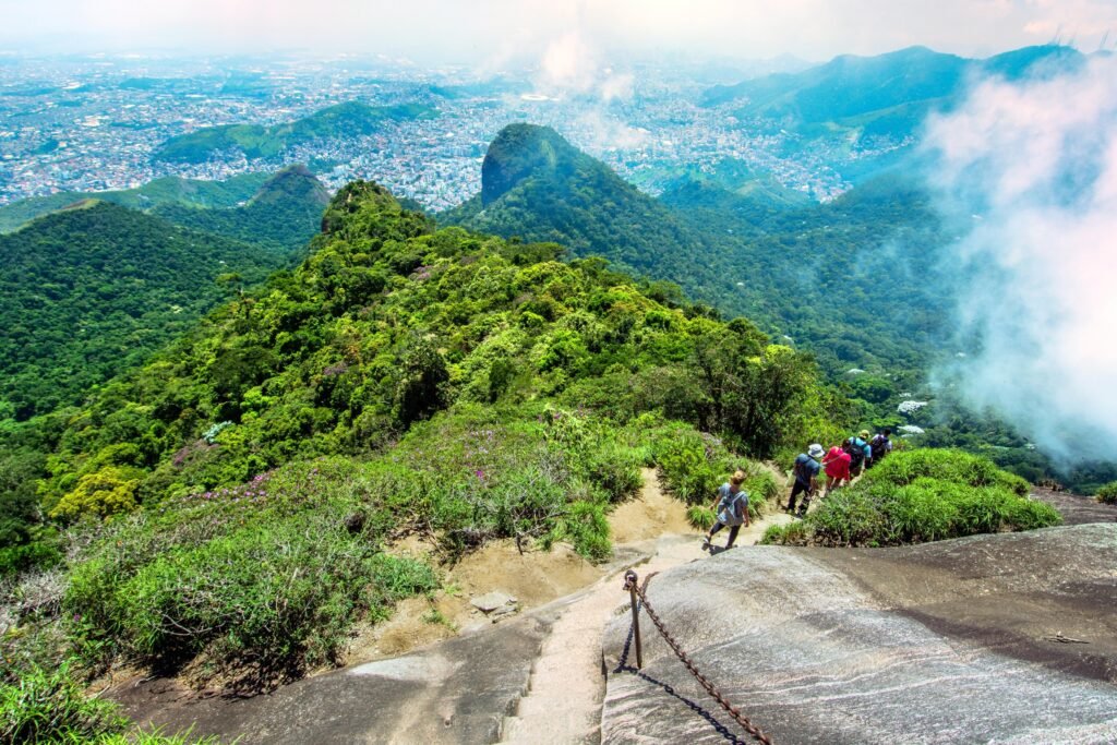 The Tijuca Forest is the largest urban forest in the world, covering over 8,000 acres. T