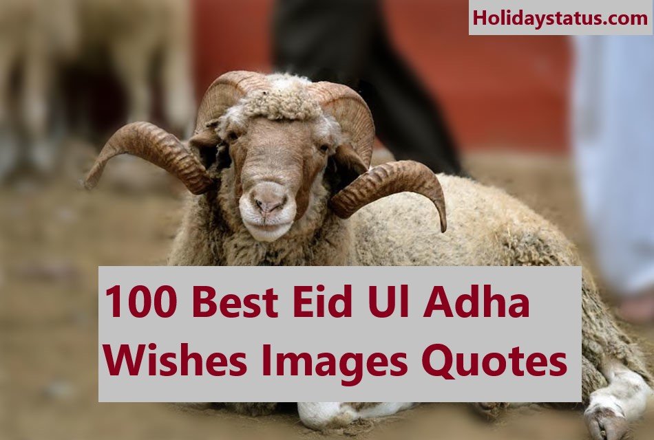 100 Best Eid-Ul-Adha Wishes Images Quotes 2023