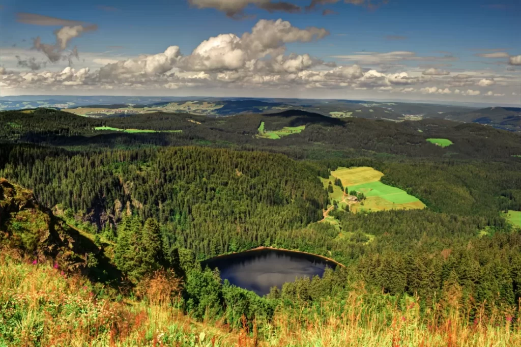 Mystical and Enchanting: Exploring the Secrets of the Black Forest, Germany