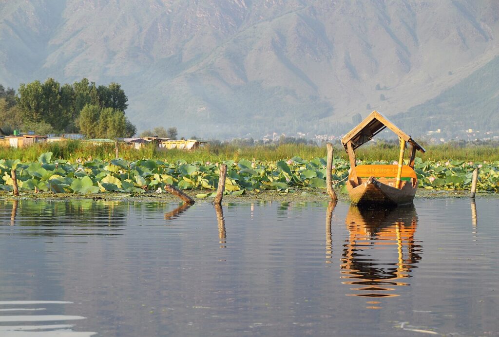 Kashmir Day (Feb 5): Pakistan's Public Holiday Explained