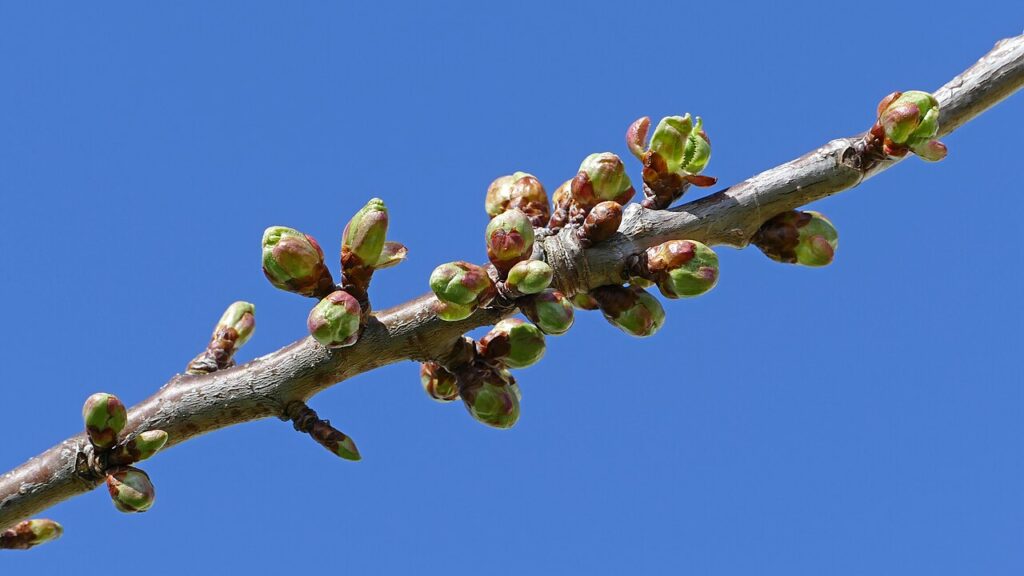 Public Holidays in March 2026: Month Guide