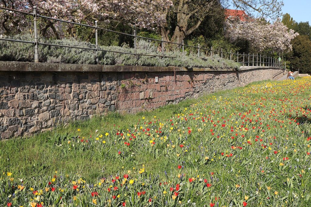 Public Holidays in May 2026: Month Guide